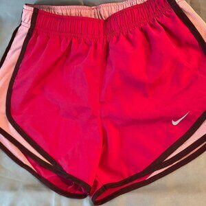 Nike Dri-Fit Shorts - XS